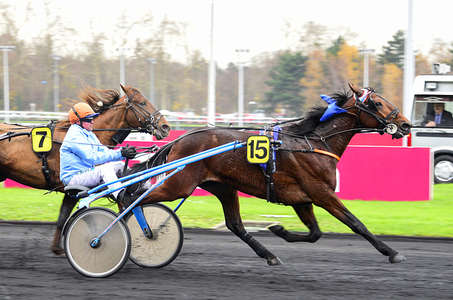 Actualités Hippiques